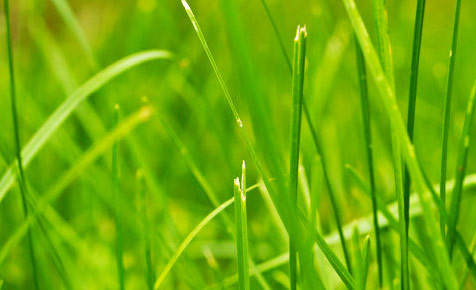 【官方原版安装包】免费下载的ip攻击器网页版